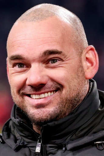 Ảnh của Wesley Sneijder