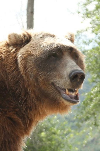 Ảnh của Bart the Bear